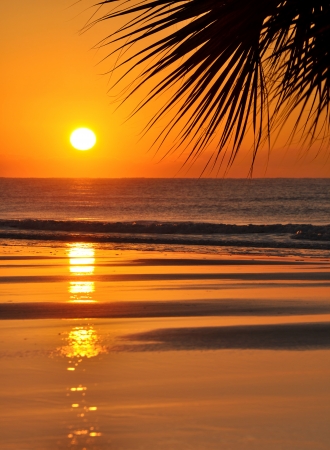 Beautiful paradise beach sunset and palm leafの写真素材