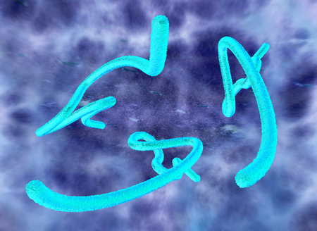 Deadly ebola virus disease under a microscope, rendered in 3Dの写真素材