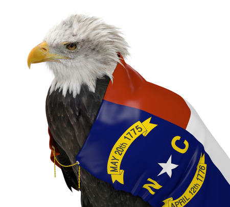 American bald eagle wearing the North Carolina state flagの写真素材
