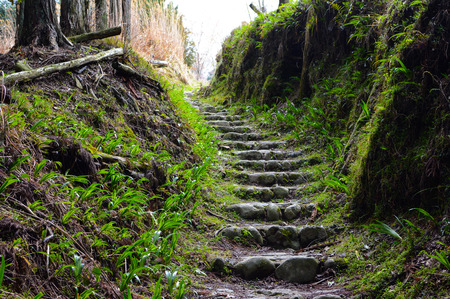 Peaceful stone nature path on Mount Yoshino in Nara, Japan