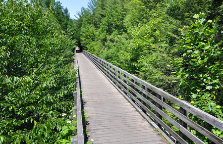 Wooden tressel bridge on the Virginia Creeper Trail in the state of Virginia, United Statesの写真素材