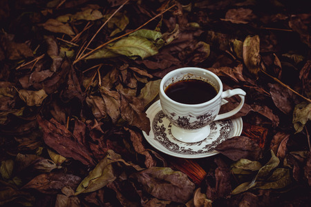 Old leaf with a white cup of coffeeの写真素材