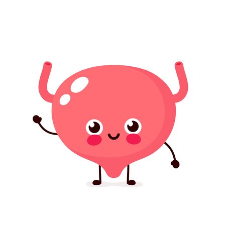 Cute healthy happy human Bladder organ character. Vector flat cartoon illustration icon design. Isolated on white background. Bladder character conceptのイラスト素材