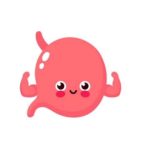 Strong healthy happy human stomach organ character show biceps muscle. Vector flat cartoon illustration icon design. Isolated on white background. Gym,sport,stomach,nutrition characterのイラスト素材