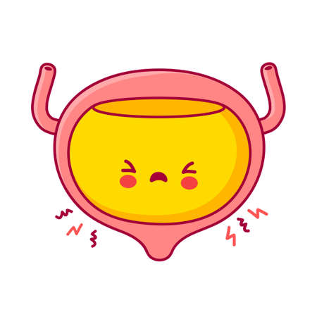 Cute sad funny human bladder organ character. Vector flat line cartoon kawaii character illustration icon. Isolated on white background. Bladder with face character mascot conceptのイラスト素材
