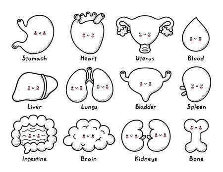 Cute healthy human organs character coloring page outline. Vector line cartoon kawaii character illustration icon. Bone,stomach,heart,uterus,blood,liver,lungs,bladder,splee,intestine,kidneysのイラスト素材