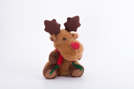 reindeerの写真素材