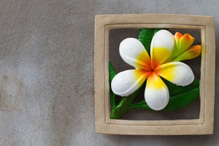 flowerの写真素材