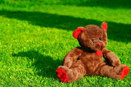 Teddy Bear sitting on the green lawn の写真素材