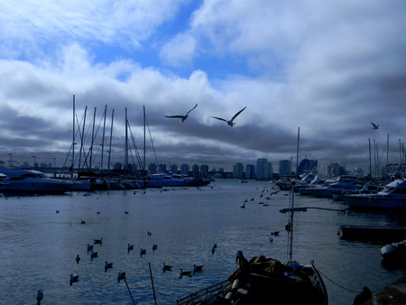 Baa in Uruguayの写真素材