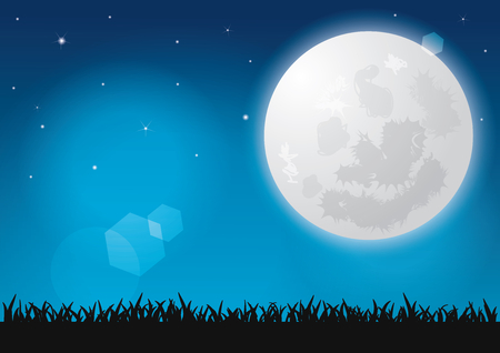 Beautiful full moon, Shining stars and Silhouettes grass at nightのイラスト素材