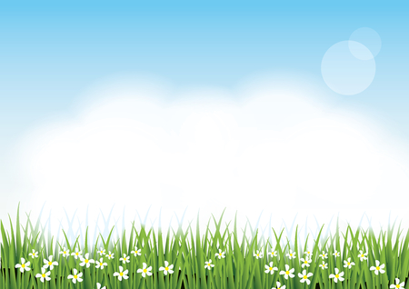 Vector Background-Beautiful green grass ,Flowers,Fluffy Clouds and light blue skyのイラスト素材