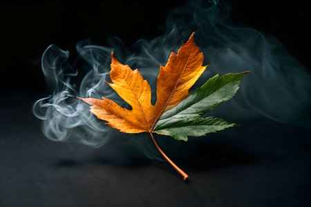 Autumn maple leaf and smoke on black background. Generative Ai.の素材