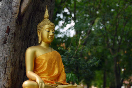 statue of buddha. Buddha statue on blurred background of asia. Concept of buddhist temples, tourism...