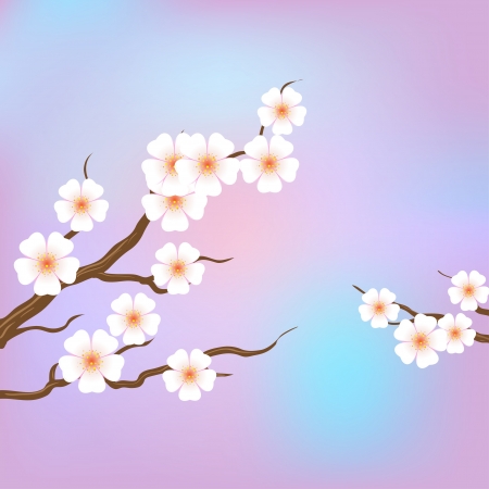 Spring border background with pink blossomのイラスト素材