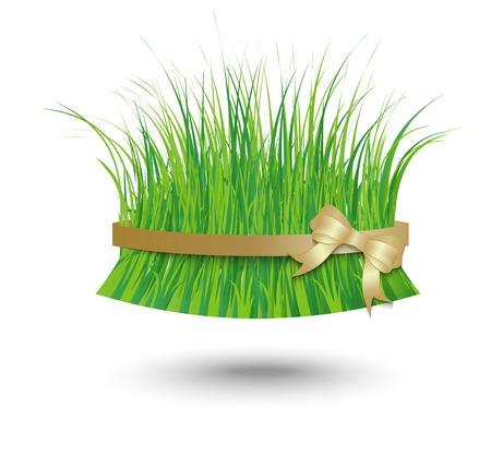 green grass on a white background, a bunch of herbs tied with a gold ribbon with bow and shadowのイラスト素材