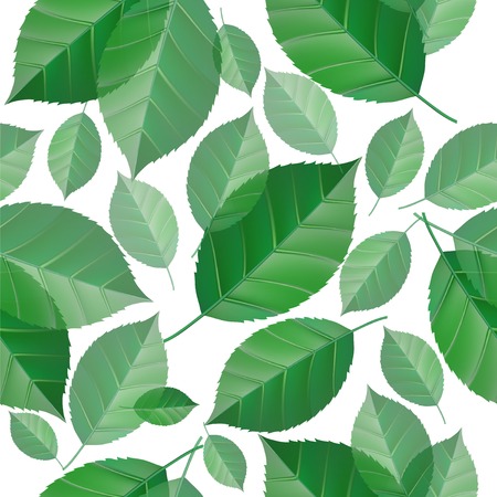 Seamless  green leaves backgroundのイラスト素材
