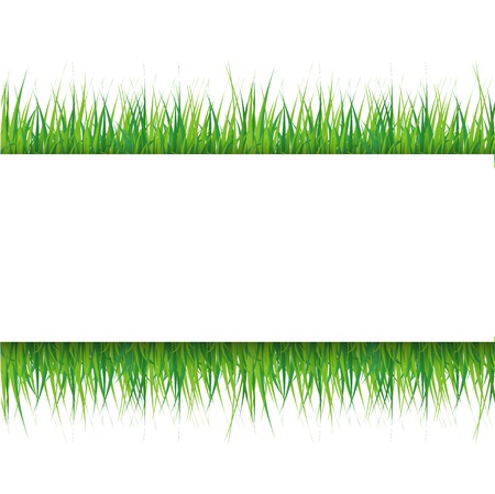 Grassy sphere with a clean sheet of paperのイラスト素材