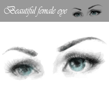 female eye created from polygonsのイラスト素材
