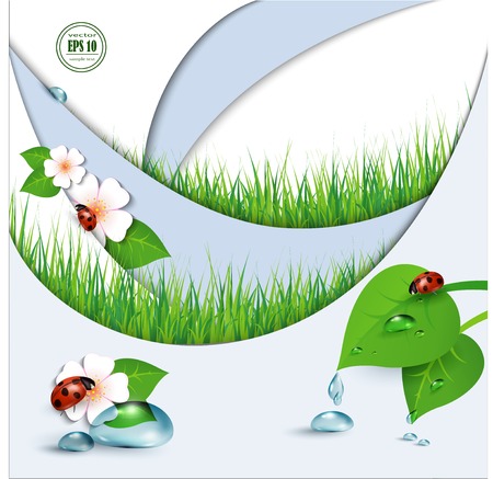 Spring background with flowers, grass and a ladybug. Vector.のイラスト素材