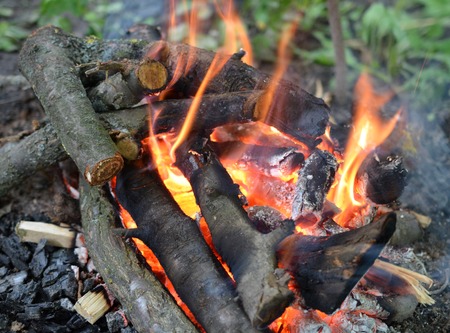 Close up of a bonfire with orange flames and firewood
