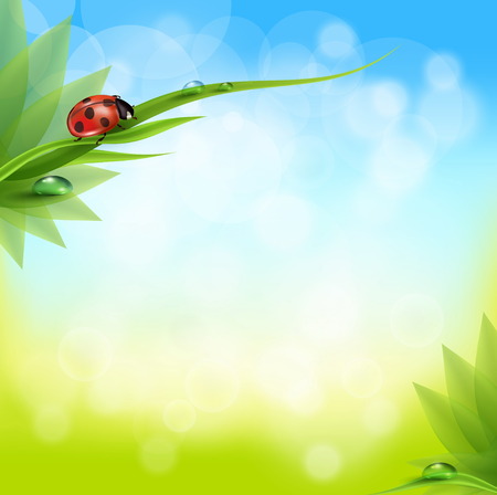 Green Background With Green Grass And Sunburst, Vector Illustrationのイラスト素材