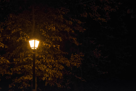 Street lamp at nightの写真素材