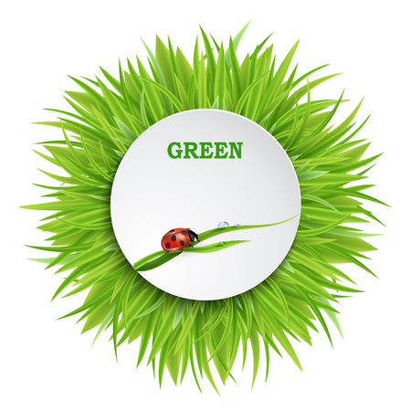 Vector natural bio frame paper tag with grass in the backgroundのイラスト素材