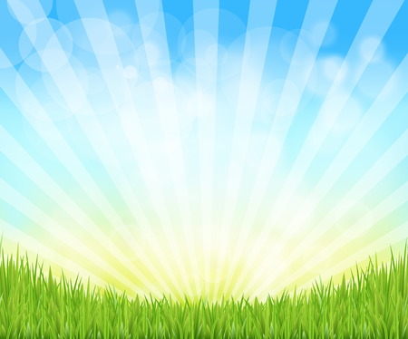 Green Grass And Sun Beam With Blur, Vector Illustrationのイラスト素材