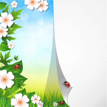 Spring background with flowers, grass and a ladybug. Vector.のイラスト素材