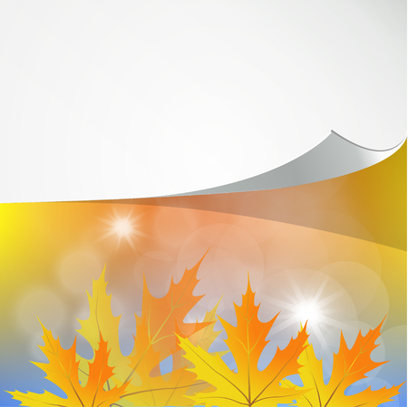 White blank with autumn maple leaves. Copy spaceのイラスト素材