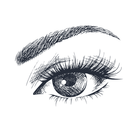 Hand-drawn beautiful female eye.のイラスト素材