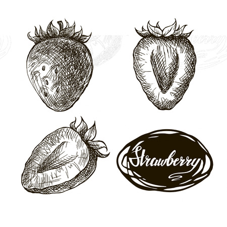 Set of hand drawn strawberries isolated on white background. Retro sketch style vector eco food illustrationのイラスト素材