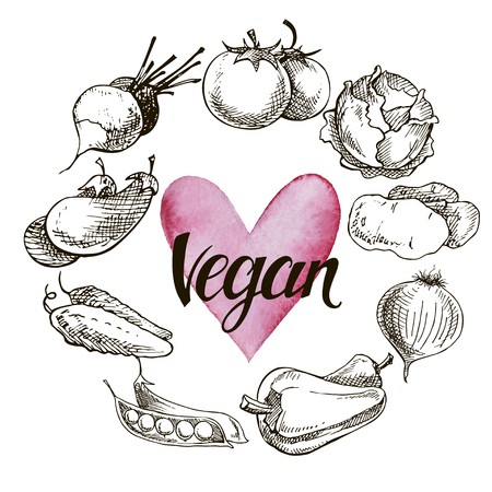 Vegetables sketch illustrations set. Cool hand-drawn iconsのイラスト素材