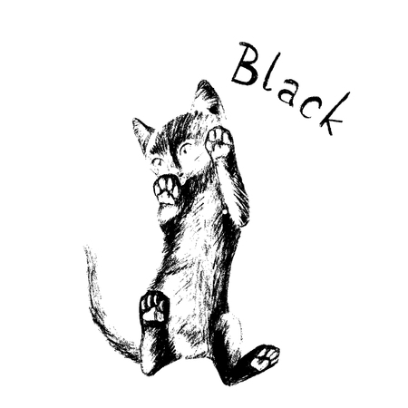 Drawing cat, sketch, kittenのイラスト素材