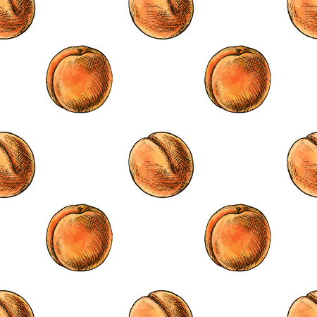 Vector seamless background with peaches on a white background.のイラスト素材