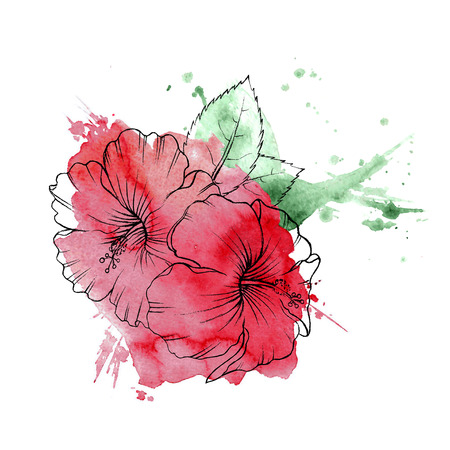 tropical Hibiscus flowers. Hand drawn sketch. Watercolor texture. Vector illustration isolated on white background. A template for the design.のイラスト素材