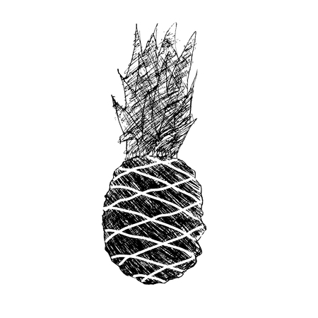 Pineapple sketch. Vector illustrationのイラスト素材