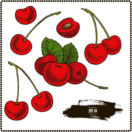Cherry. Isolated berries on white backgroundのイラスト素材