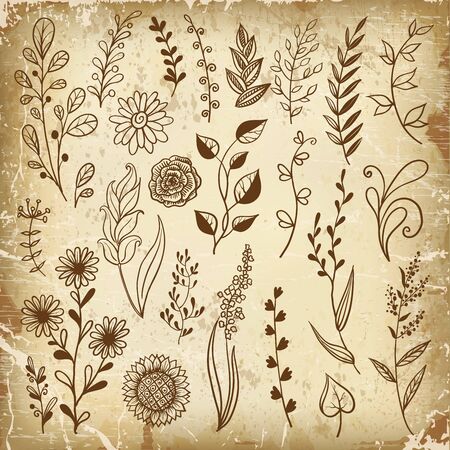 Collection of hand drawn flowers and plants, vector illustrations in sketch style.のイラスト素材