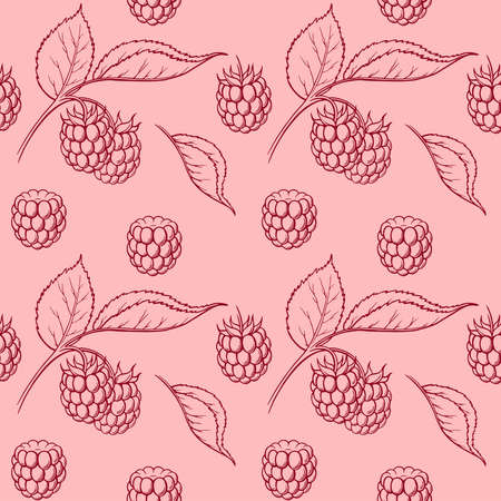 Raspberry seamless pattern. Vector drawing. Isolated berry branch sketch. Summer fruit engraved style background. Detailed hand drawn vegetarian foodのイラスト素材