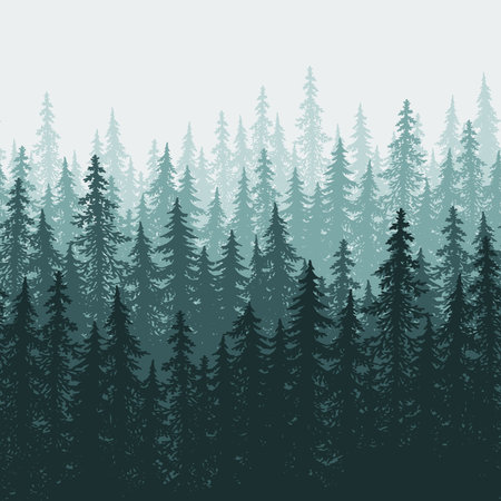 Forest background, nature, landscape. Evergreen coniferous trees. Pine, spruce, christmas tree....
