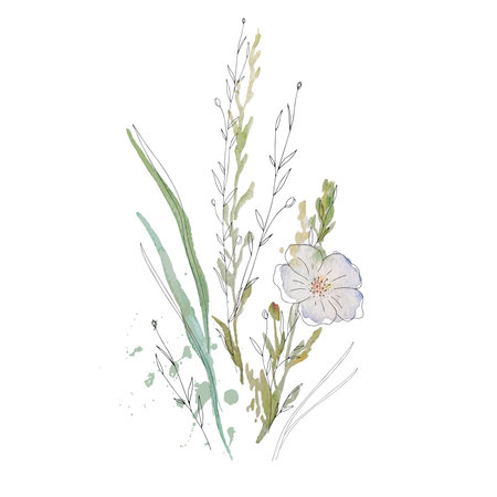 Dried grass floral bouquet, frame. Wildflowers, herbs border painted in watercolor. Botanical boho elements isolated on white. Wedding invitation, greeting, card, printのイラスト素材