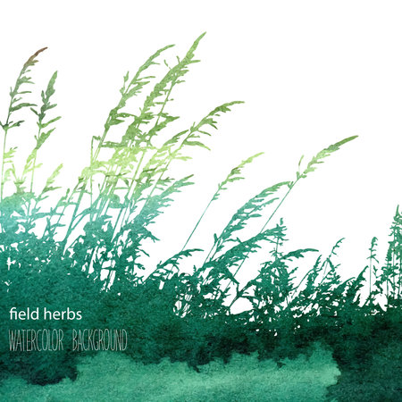 watercolor grass with flowers. Grass silhouette border silhouette isolated on white background.Vector illustrationのイラスト素材