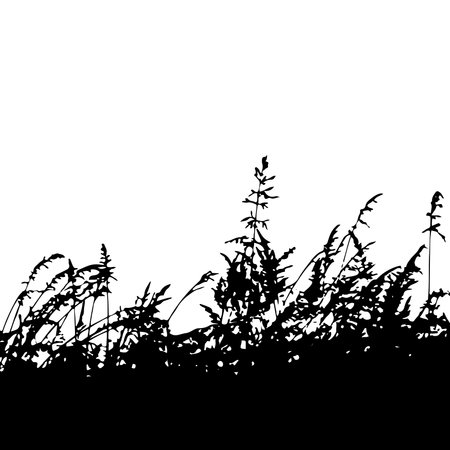 Monochrome grass with flowers. Grass silhouette border silhouette isolated on white background.Vector illustrationのイラスト素材