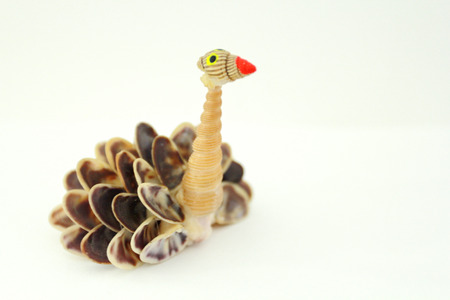 The doll made from shell.We can buy it when travel to the beach.