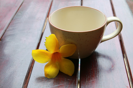 empty coffee cup on the table decor with allamanda.の写真素材