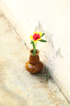 The rose mos in the ceramic vase.の写真素材