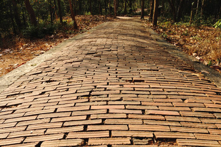 old brick walkway in the national parkの写真素材