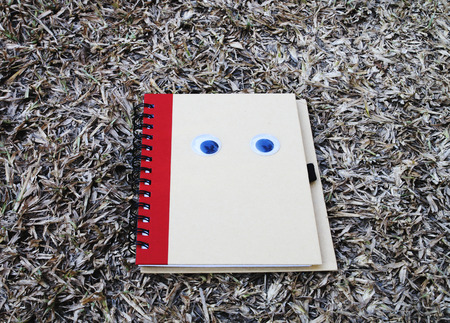 notebook is on the dry grass decorate with doll eyes.の写真素材